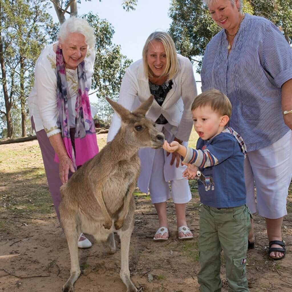 A young boy feeds a kangaroo while three women watch with smiles, enjoying a day outdoors in Paradise Pass. Surrounded by trees in this serene park setting, they contemplate attending Melt Festival 2024 for more delightful experiences.