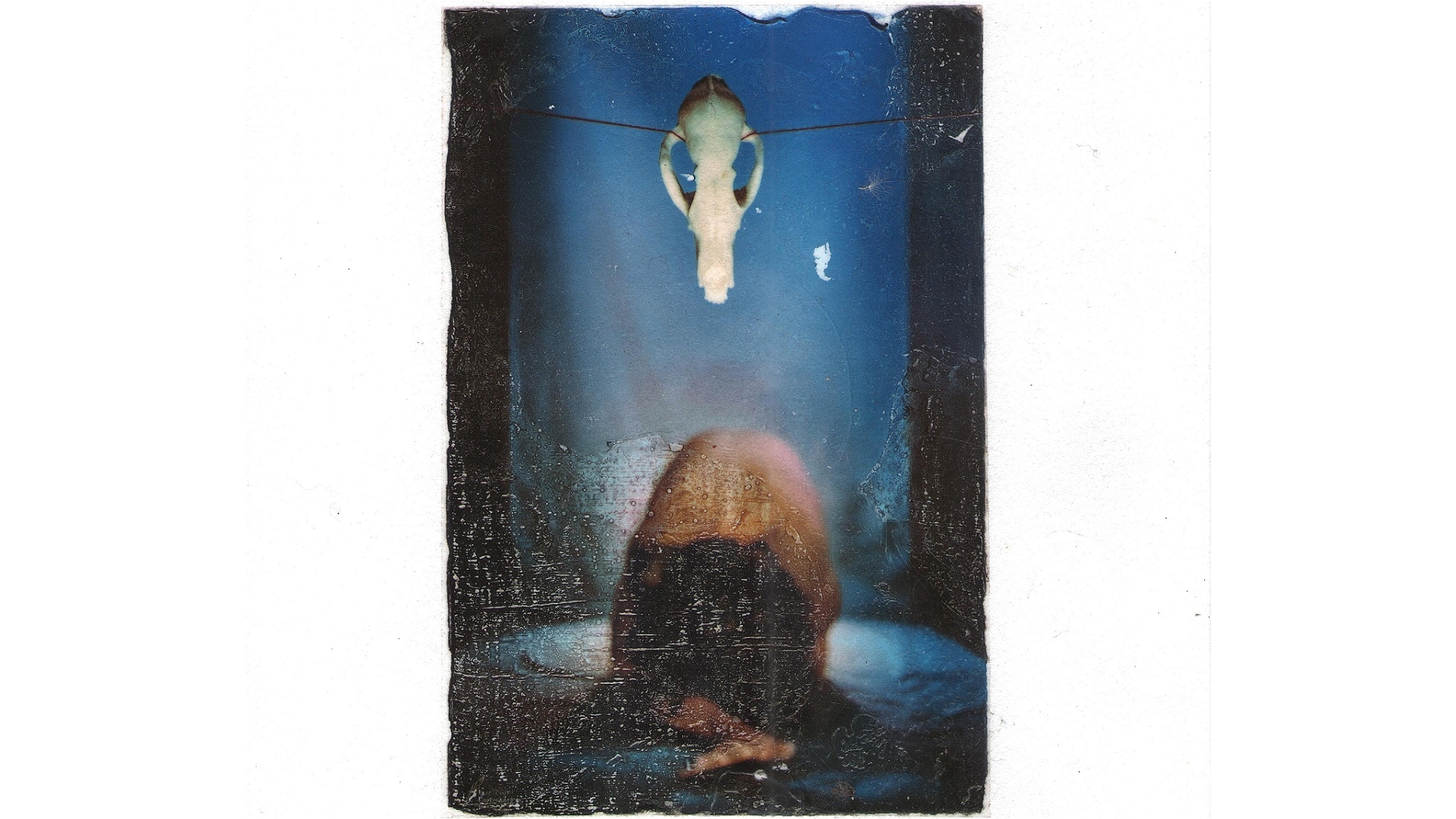 A person kneels with their head down on a blue surface, while a pale fish hangs upside down above them in a vertical frame with a textured, worn appearance.