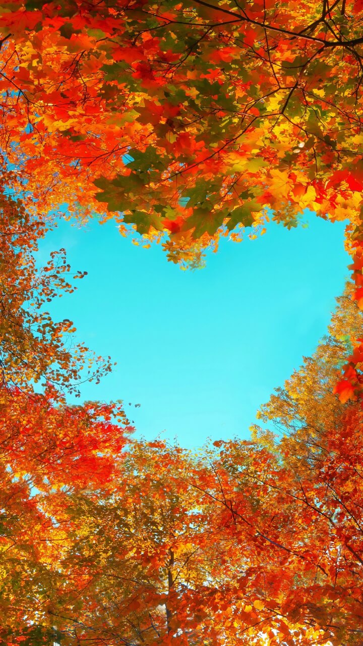 Colorful autumn tree branches with red, orange, and yellow leaves frame a bright blue sky in the shape of a heart, creating a vibrant and warm seasonal scene.