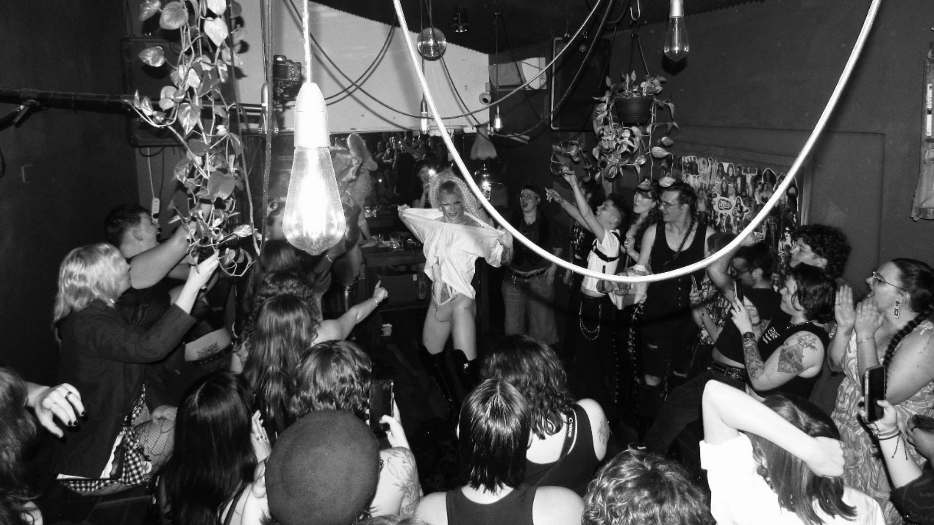 A crowd in a dimly lit room enthusiastically watches a performer on stage. Hanging plants and lightbulbs decorate the space, and people are clapping, cheering, and taking photos.